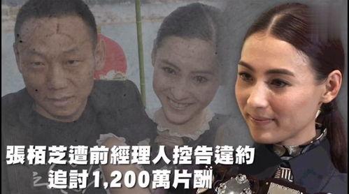 娱乐吃瓜群,揭秘吃瓜群背后的精彩故事